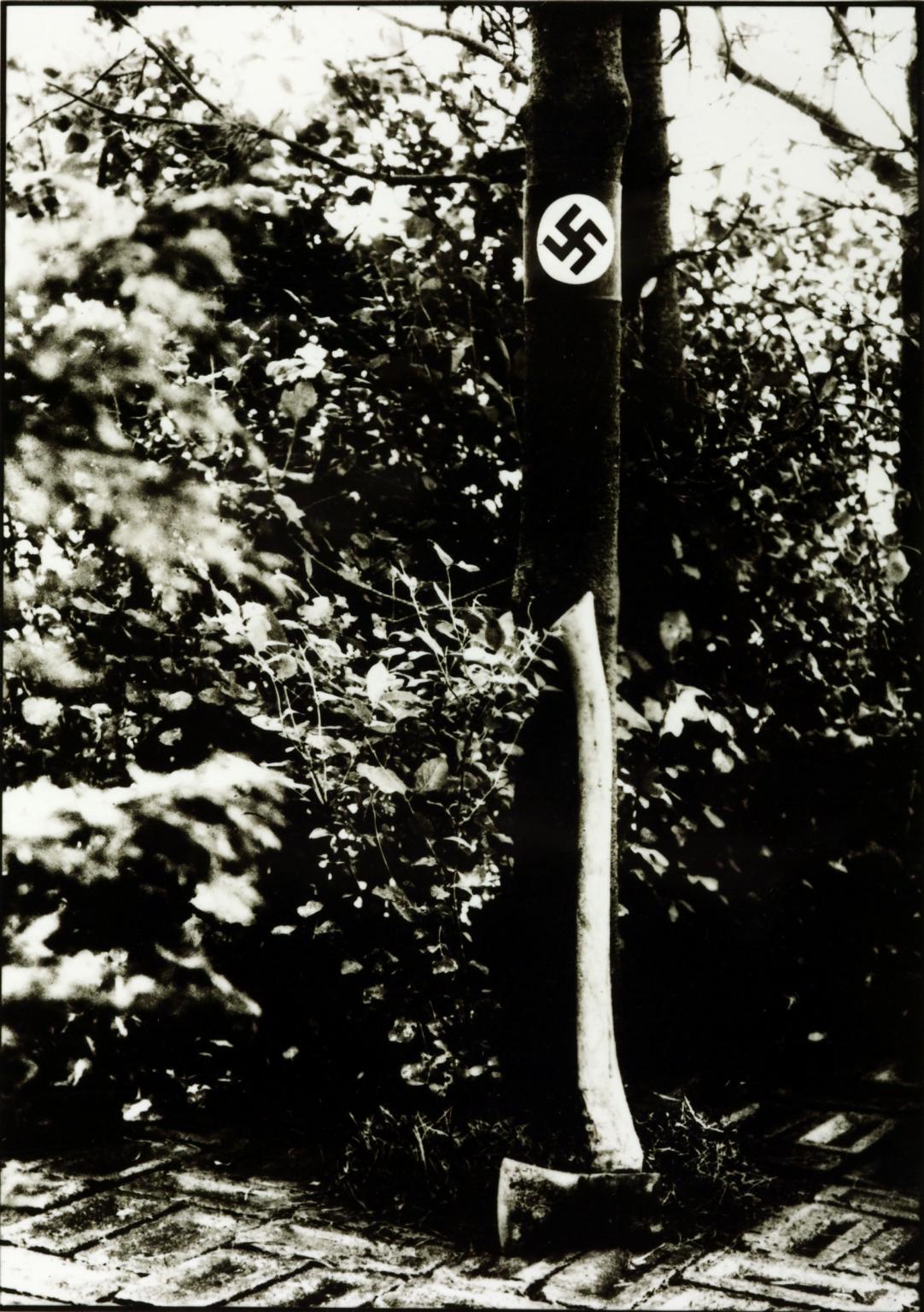 Propaganda for the Wood Elves [collaboration with Harvey Dwight]