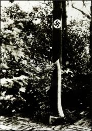 Propaganda for the Wood Elves [collaboration with Harvey Dwight]