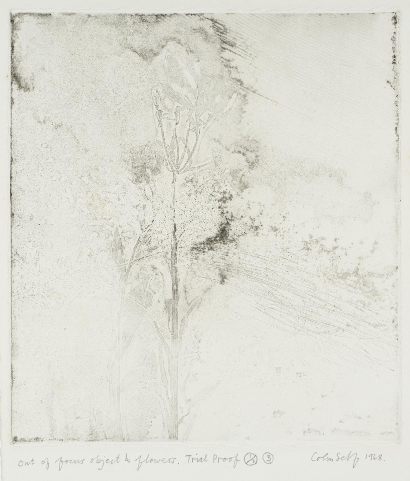 Out of Focus Objects and Flowers