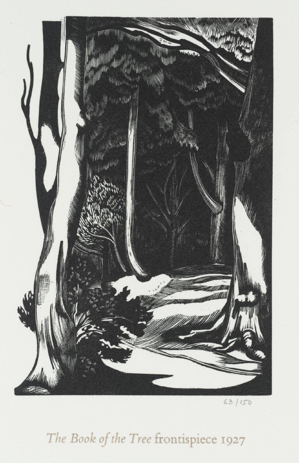 Frontispiece for the Book of the Tree
