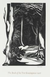 Frontispiece for the Book of the Tree