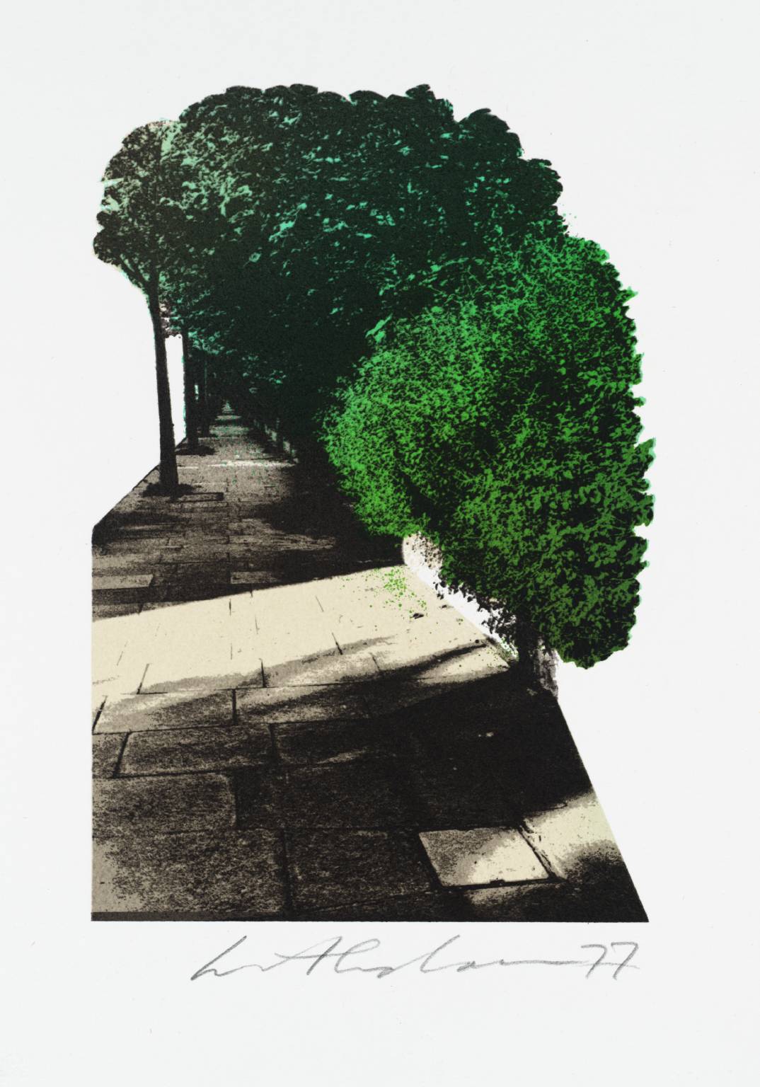 Untitled [from the book ‘Oxford Gardens: a Sketchbook’ by Ivor Abrahams]