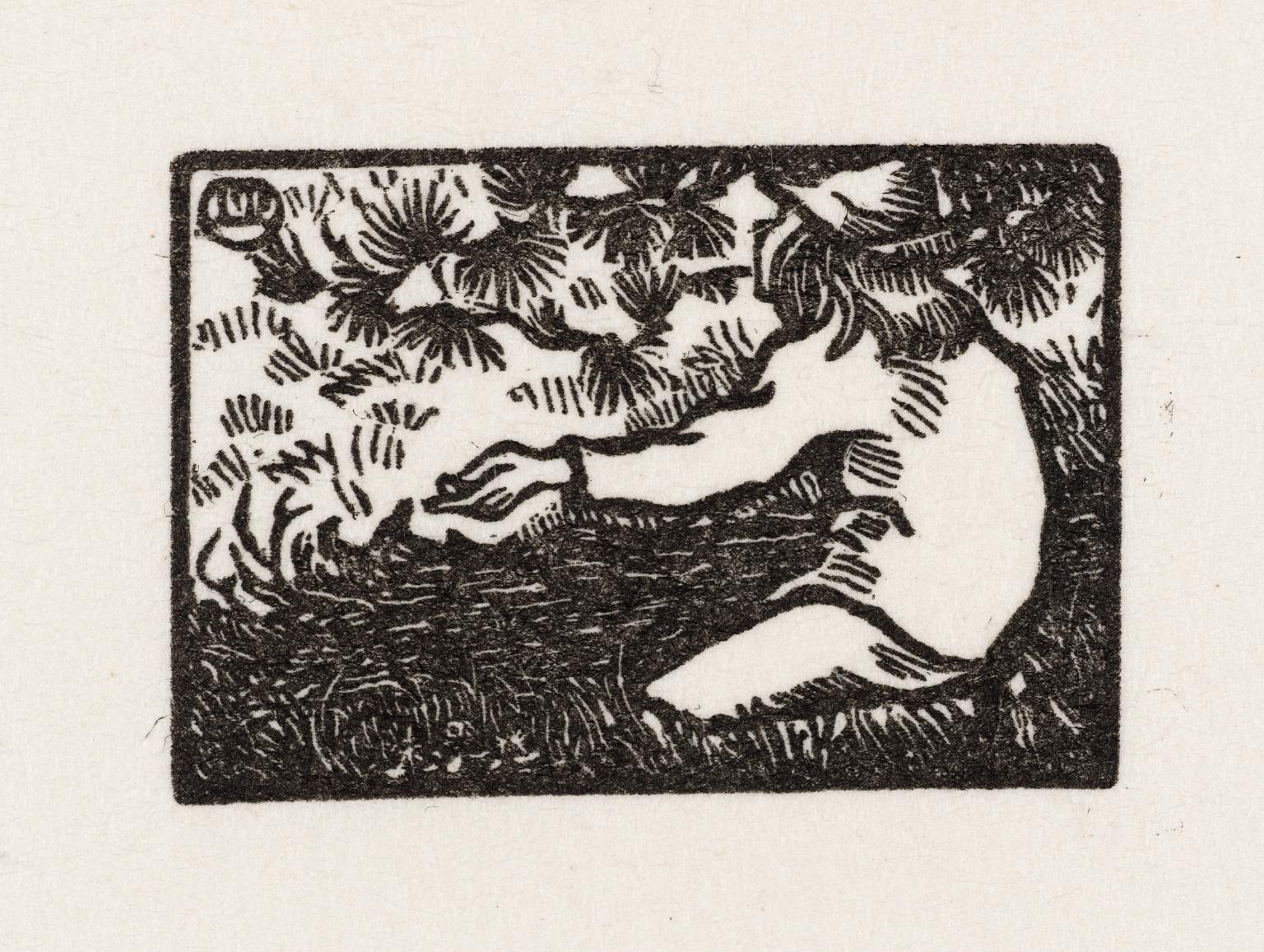 Boy and Pine Tree