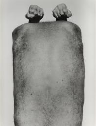 Self-Portrait (Back with Arms Above)