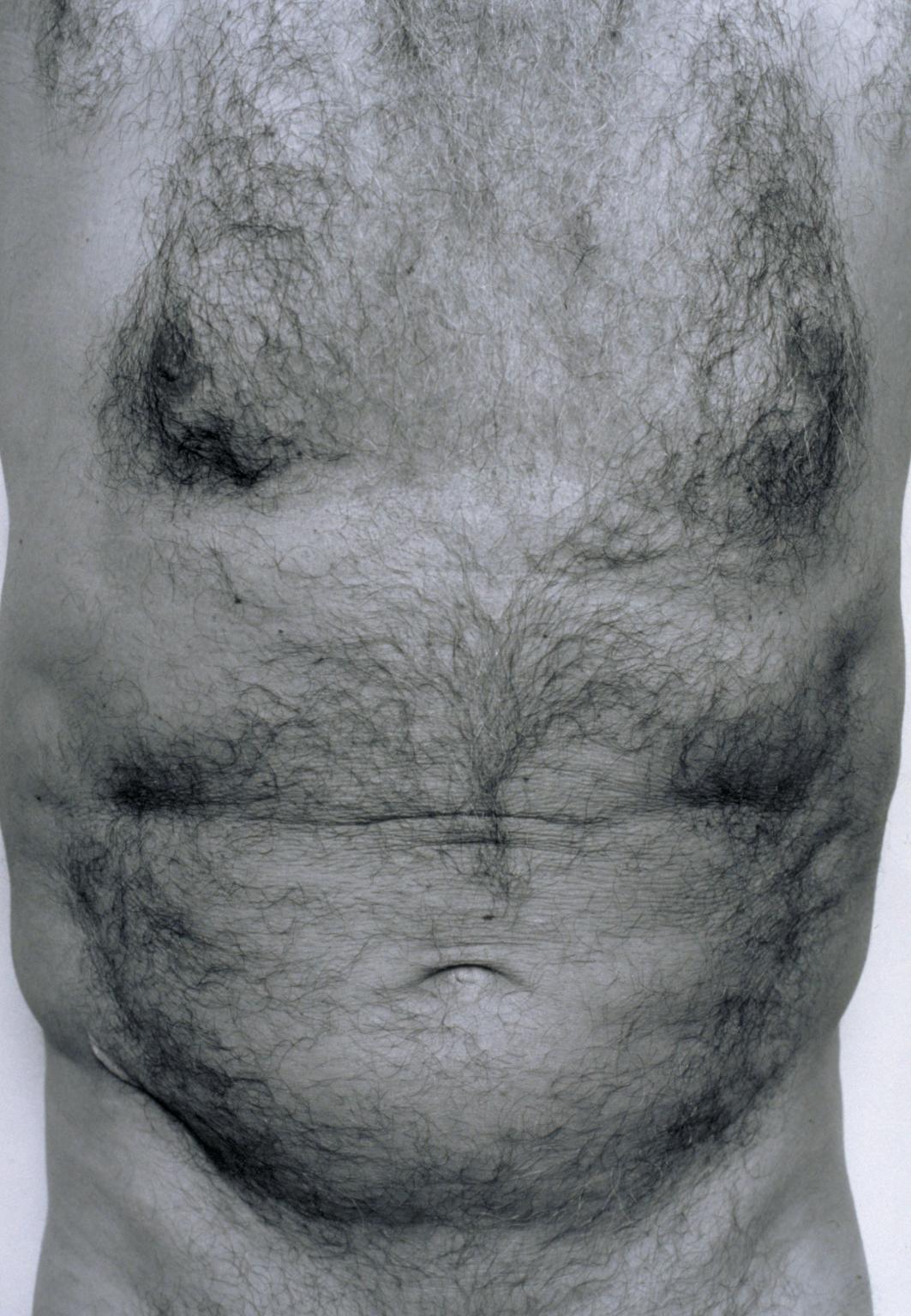 Self-Portrait (Torso, Front)', John Coplans, 1984 | Tate