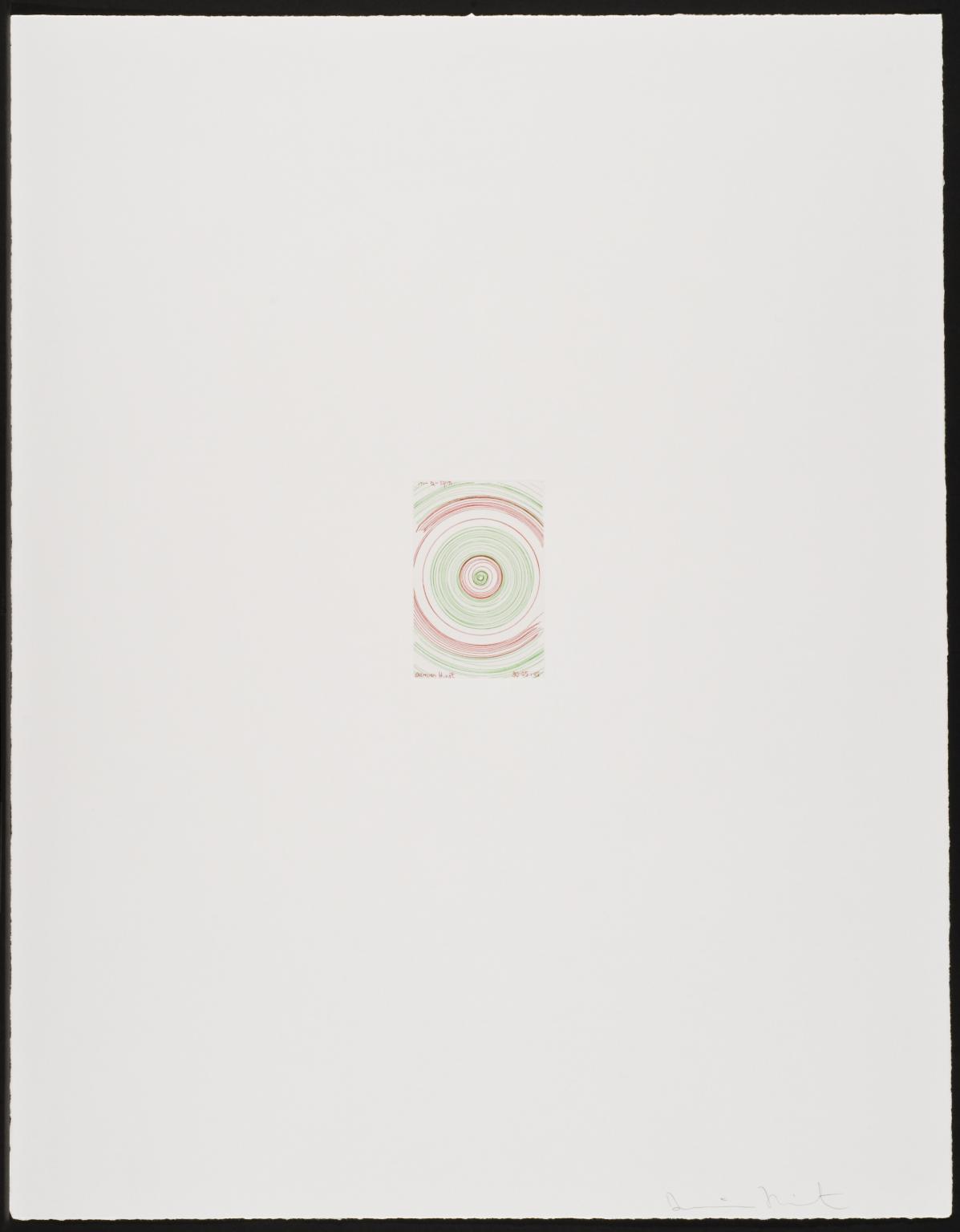 In-a-spin', Damien Hirst, 2002 | Tate