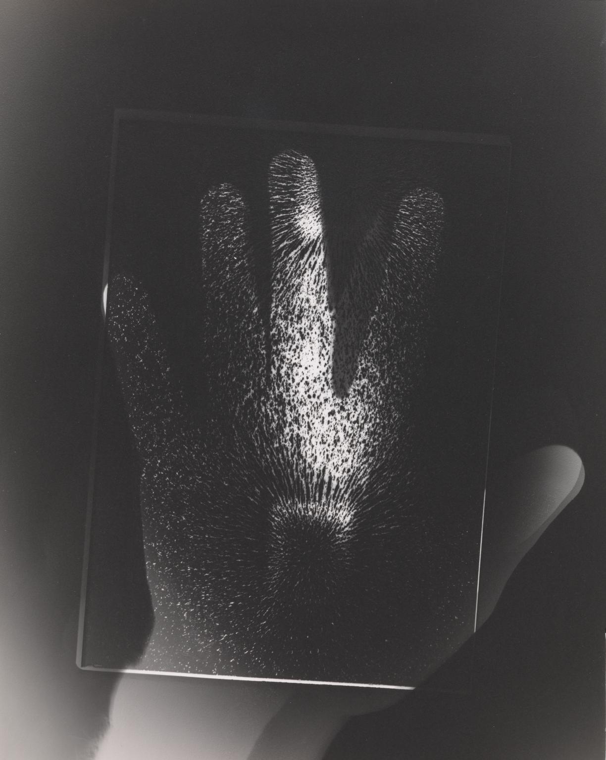 P80552: Hand and Magnet Photogram