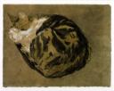 Gwen John, ‘Cat’ c.1904–8