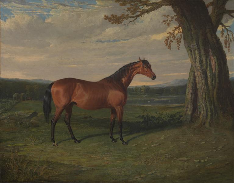 ‘manuella, At Richard Watt’s Stud Farm, Bishop Burton, Yorkshire’, John 