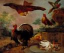 Jan Griffier I, ‘A Turkey and other Fowl in a Park’ 1710