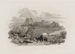 Carisbrook Castle from the Calbourn Road