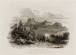 Carisbrook Castle from the Calbourn Road