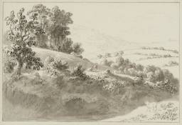 Hilly Landscape with Sheep