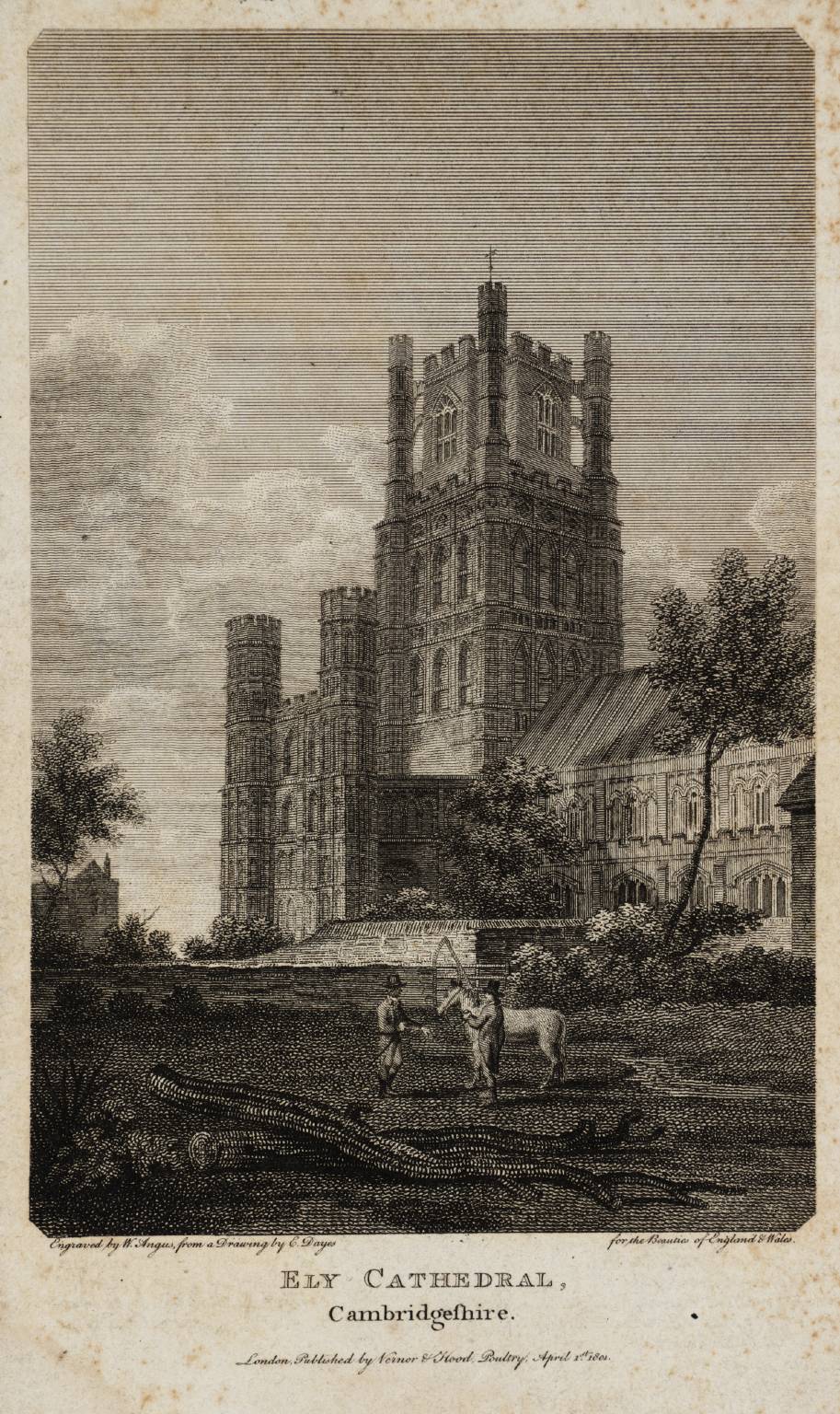 Ely Cathedral, Cambridgeshire, engraved by W. Angus