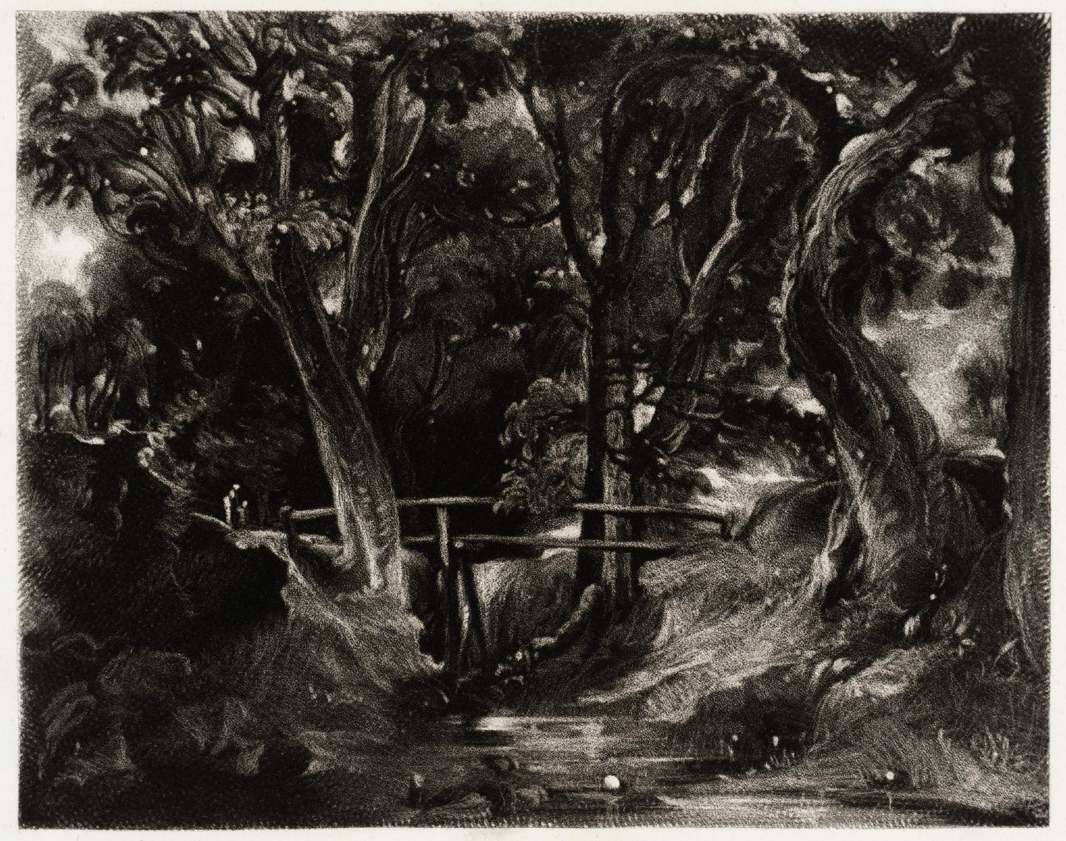 A Dell, Helmingham Park, Suffolk