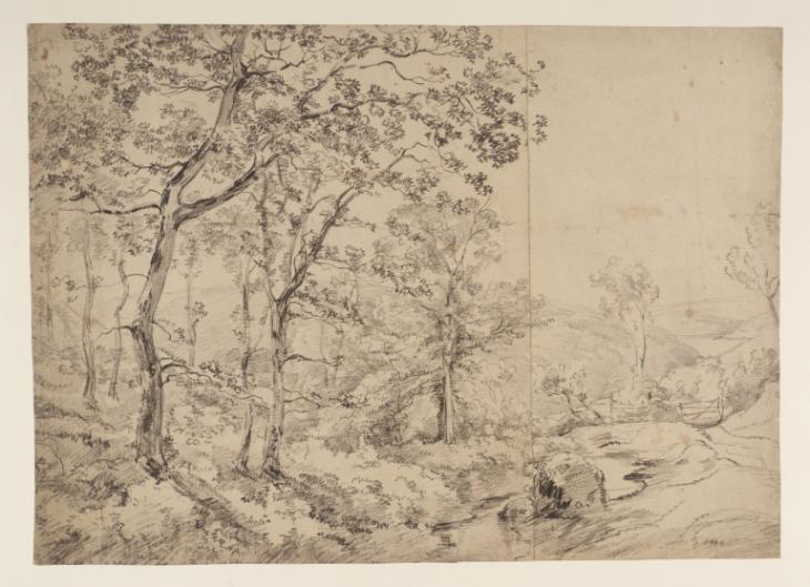 ‘View in a Wood’, William Collins | Tate