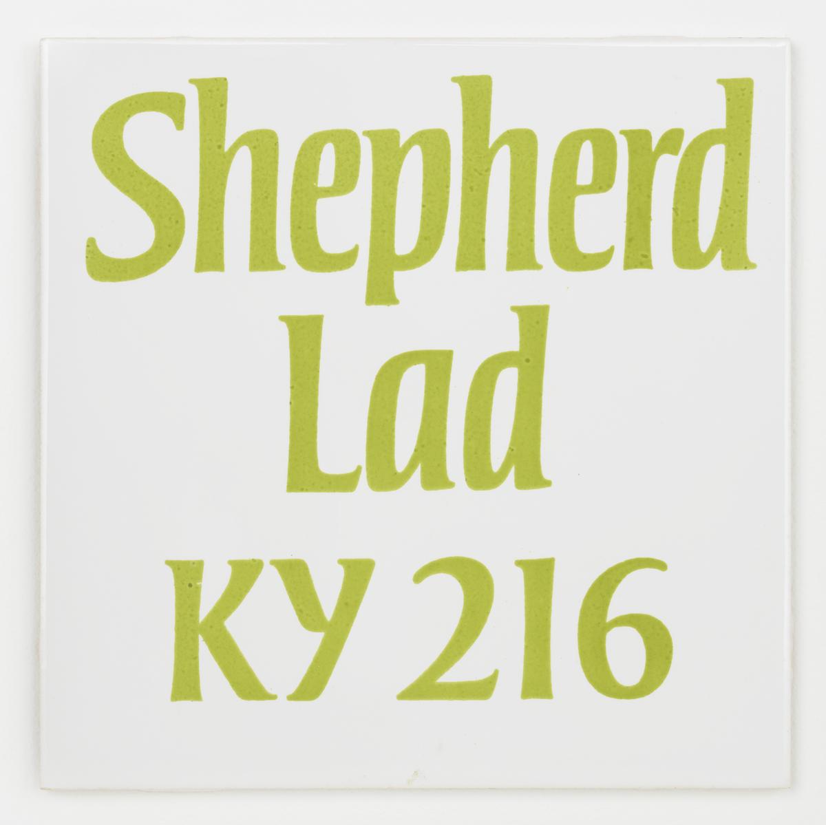 T11773: Shepherd Lad KY 216