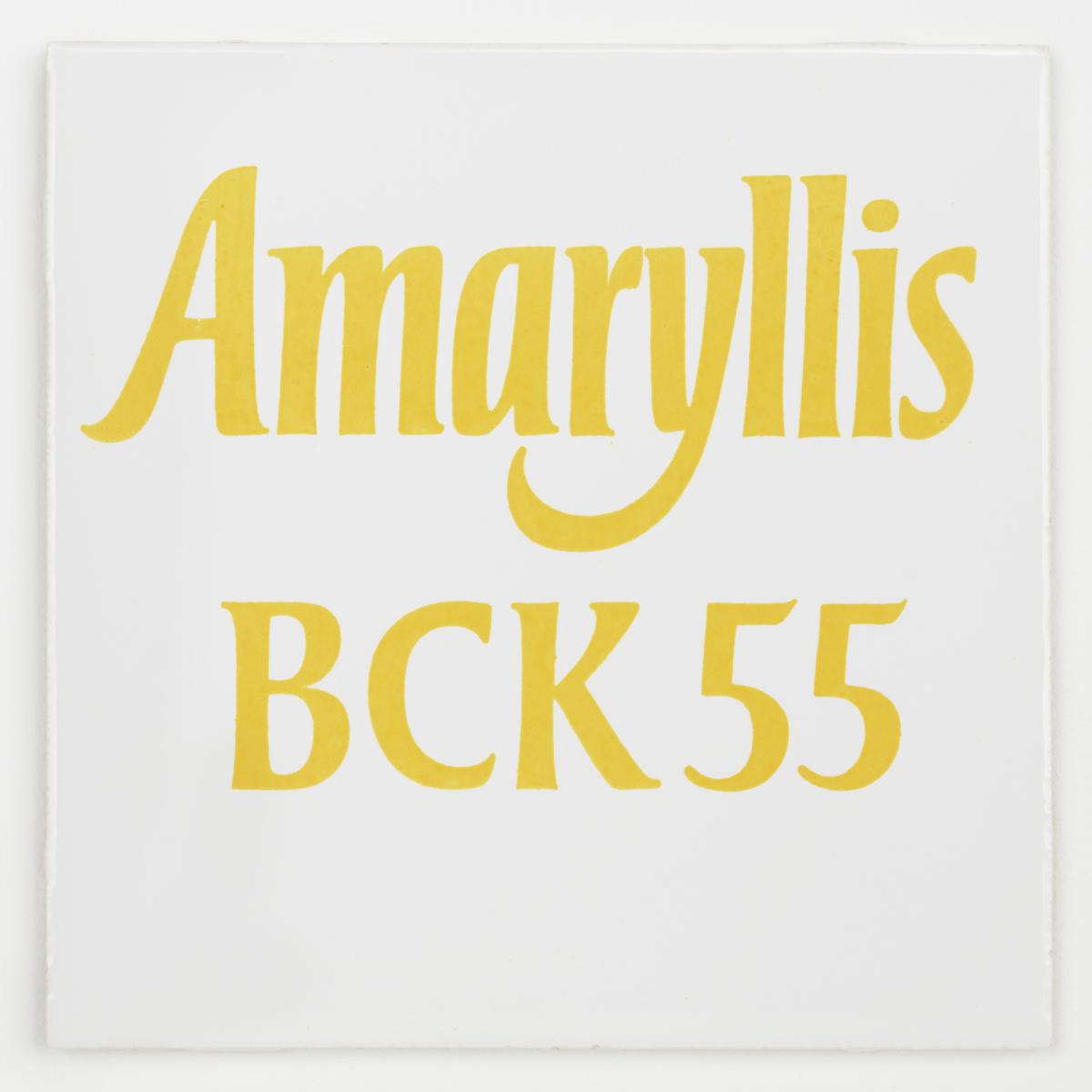 T11778: Amaryllis
