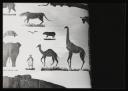 Major H. O. Daniel, ‘Photograph of detail of blackout window carved with images of animals at Hutchinson Internment Camp’ [c.1940–1]