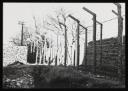 Major H. O. Daniel, ‘Photograph of the wire fence surrounding Hutchinson Internment Camp’ [c.1940–1]