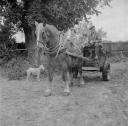 Nigel Henderson, ‘Photograph showing horse and cart with three passengers’ [c.1949–c.1956]