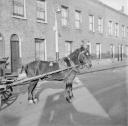 Nigel Henderson, ‘Photograph of a horse’ [c.1949–c.1956]