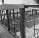 Nigel Henderson, ‘Photograph showing Hunstanton Secondary Modern School, Norfolk, during construction’ [c.1949–c.1956]