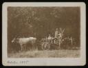 Leopold von Lieben, ‘Mounted photograph of oxcart and four men’ October 1895
