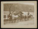 Leopold von Lieben, ‘Mounted photograph of horse carriage and driver’ [c.1901]