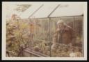 Marie-Louise Von Motesiczky, ‘Photograph of Henriette von Motesiczky standing in a greenhouse looking at potted plants’ [c.1970s]