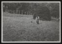 Unknown Photographer, ‘Photograph of Henriette von Motesiczky playing with two dogs in a garden’ [c.1940s]
