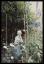 Unknown Photographer, ‘Photograph of Marie-Louise von Motesiczky in a garden with delphiniums ’ [c.1988]