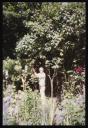 Marie-Louise Von Motesiczky, ‘Photograph of George Lewis working in a garden ’ [1990s]  