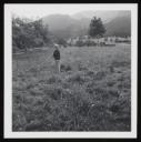 Unknown Photographer, ‘Photograph of an unidentified woman standing, turned away from the camera, in a field ’ [1960s]
