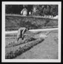 Unknown Photographer, ‘Photograph of an unidentified woman working in a walled garden with two unidentified men walking past a large ornamental urn’ [1960s]