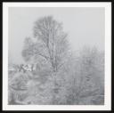 Marie-Louise Von Motesiczky, ‘Photograph of snow covered trees and garden in Chesterford Gardens, Hampstead’ [c.1960]–1996