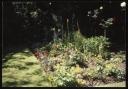 Marie-Louise Von Motesiczky, ‘Photograph of a flowerbed in the garden at Chesterford Gardens, Hampstead’ August 1989