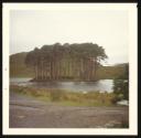 Marie-Louise Von Motesiczky, ‘Photograph of an island filled with trees in a loch in Scotland’ October 1974  