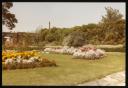 Marie-Louise Von Motesiczky, ‘Photograph of several flower beds in Regent’s Park ’ February 1981