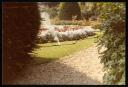 Marie-Louise Von Motesiczky, ‘Photograph of a water sprinkler and flower bed in Regent’s Park ’ February 1981