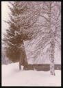 Marie-Louise Von Motesiczky, ‘Photograph of snow covered tree and house, Switzerland’ April 1981