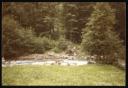Marie-Louise Von Motesiczky, ‘Photograph of a river in woodlands in Vorarlberg, Austria’ August 1983