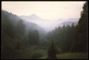 Marie-Louise Von Motesiczky, ‘Photograph of a mist covered mountain range in Lower Austria’ July 1987  