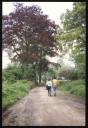 Marie-Louise Von Motesiczky, ‘Photograph of two unidentified people walking down a path in Golders Hill Park’ [1987–8]  