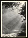 Marie-Louise Von Motesiczky, ‘Photograph of sunlight coming through the trees onto a road in Austria’ [1980s]