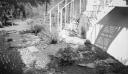 Paul Nash, ‘Black and white negative, a verandah and steps, back garden, Eldon Road’ [c.1936–9]