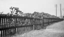 Paul Nash, ‘Black and white negative, log piles and a fence, Bristol-Gloucester road’ 1938