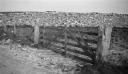 Paul Nash, ‘Black and white negative, a stone wall, Worth Matravers, Dorset’ [c.1935–7]