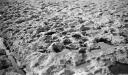 Paul Nash, ‘Black and white negative, mud flats, Swanage’ [c.1935–6]