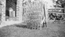 Paul Nash, ‘Black and white negative, bottle drying racks, Oxenbridge Cottage, Iden, Sussex’ 1930